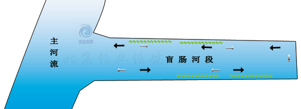 HDP河湖水域直接凈化技術(shù)(針對非流動河流)