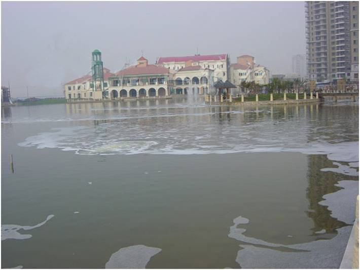 海逸長(zhǎng)洲景觀水治理前