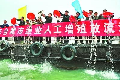 向巢湖投放鰱、鳙魚現(xiàn)場