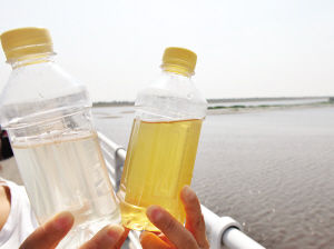 河水與水庫(kù)里的水色差很大