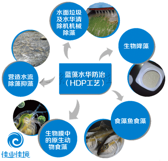 除藻技術