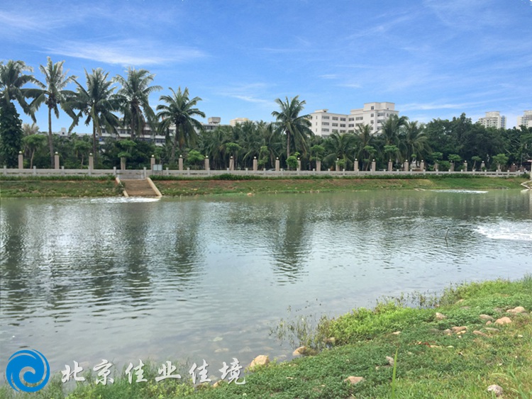 ?？诎咨澈? width=