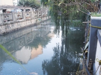 生物治理河道效果佳，微生物擔(dān)當(dāng)“清道夫”