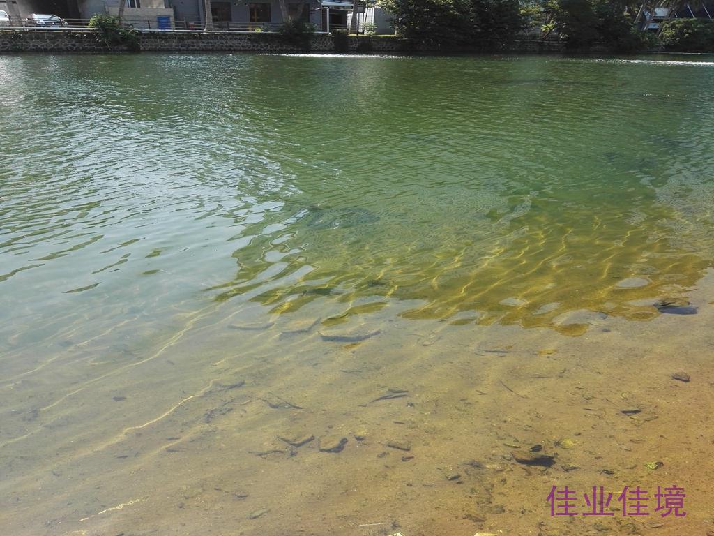 ?？邙單蚕诔羲w生態(tài)修復(fù)工程