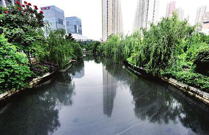 黑臭水體治理屢屢失敗告終 為什么？