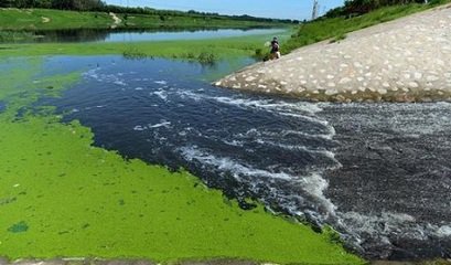 多地開展黑臭水體治理，尚無真正治理達標項目