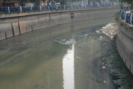 河道與湖泊黑臭水體黑臭底泥原位修復