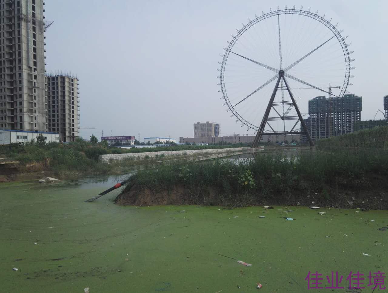 河道藍藻水華、浮萍治理