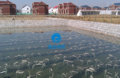 村鎮(zhèn)生活污水處理、設計建設總承包